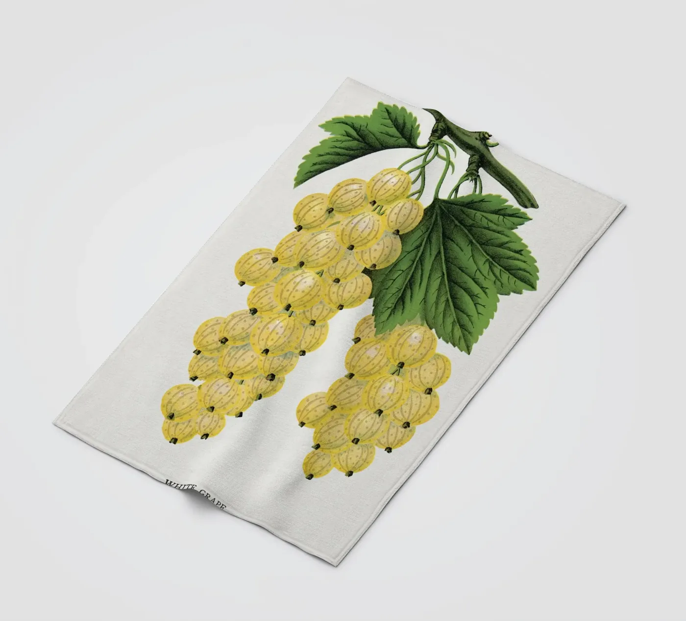 White grape Fleecedecke von vintageshop