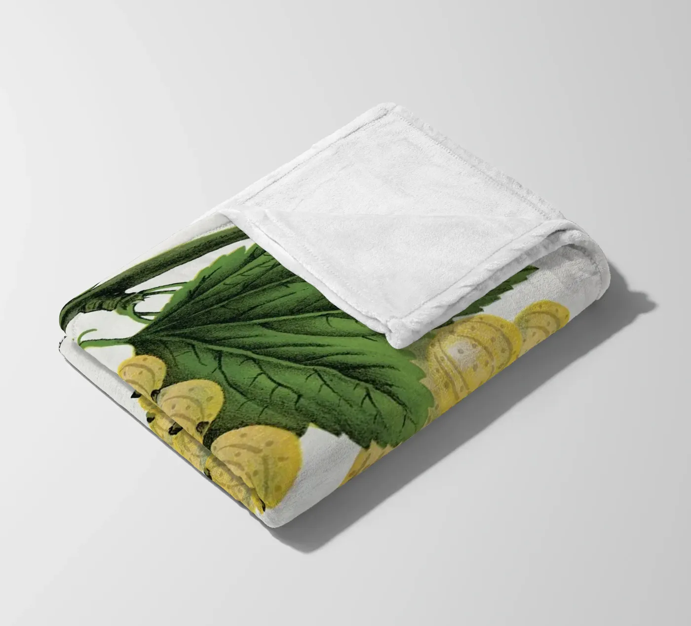 White grape Fleecedecke von vintageshop