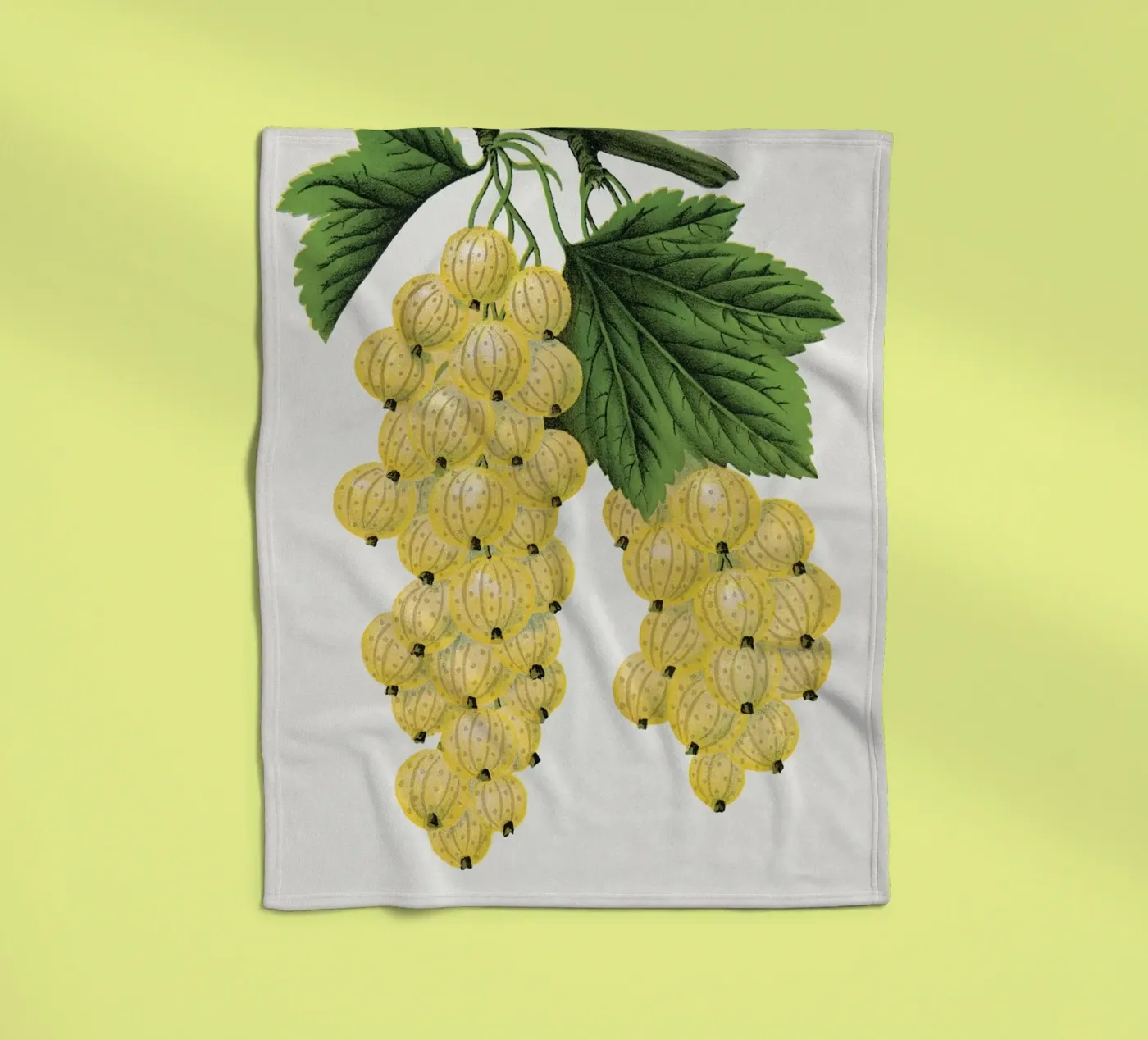White grape Fleecedecke von vintageshop