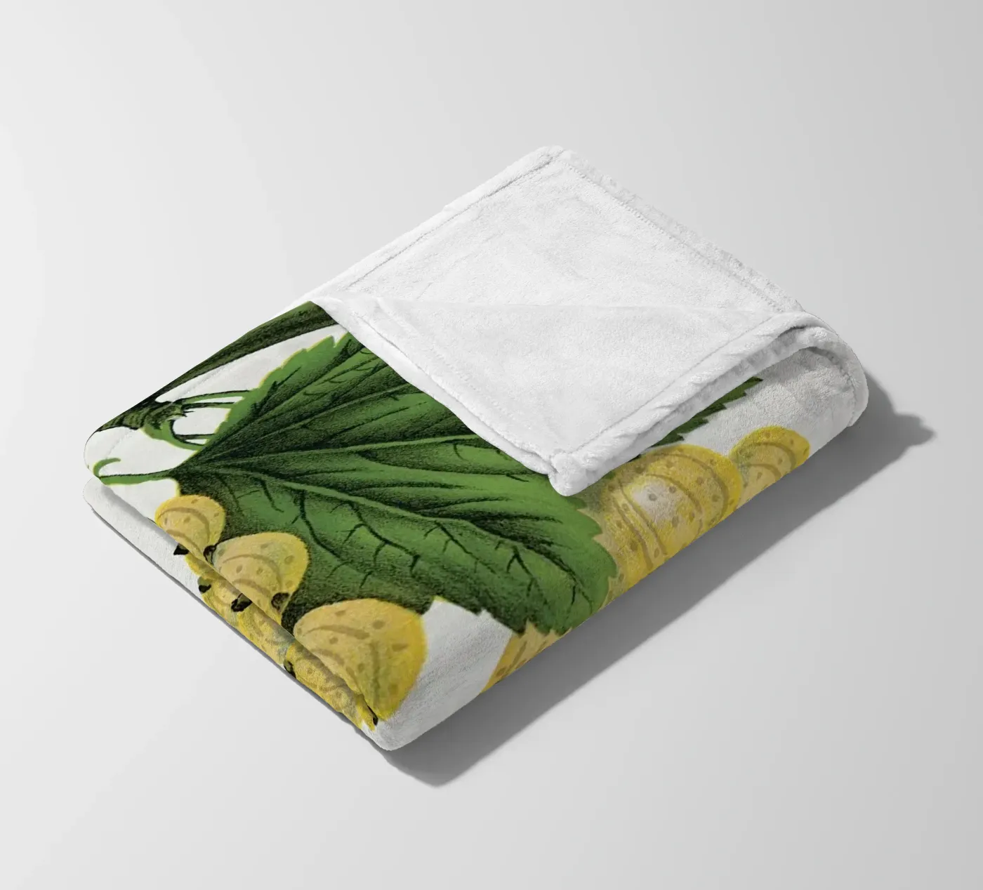 White grape Fleecedecke von vintageshop