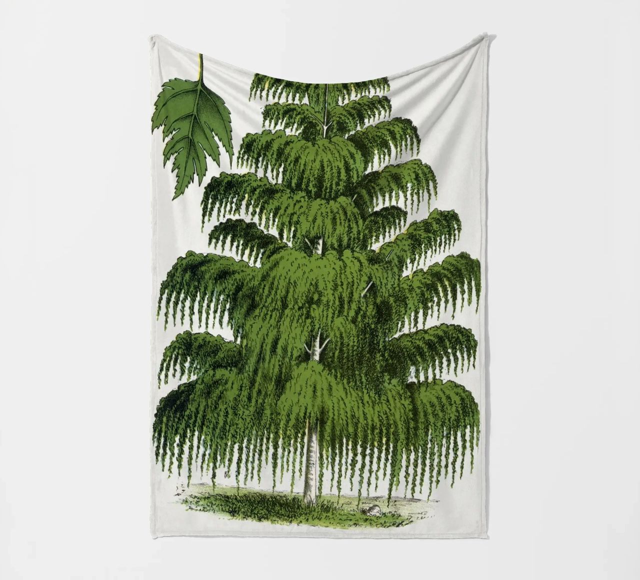 Weeping Birch tree coperta in pile da vintageshop