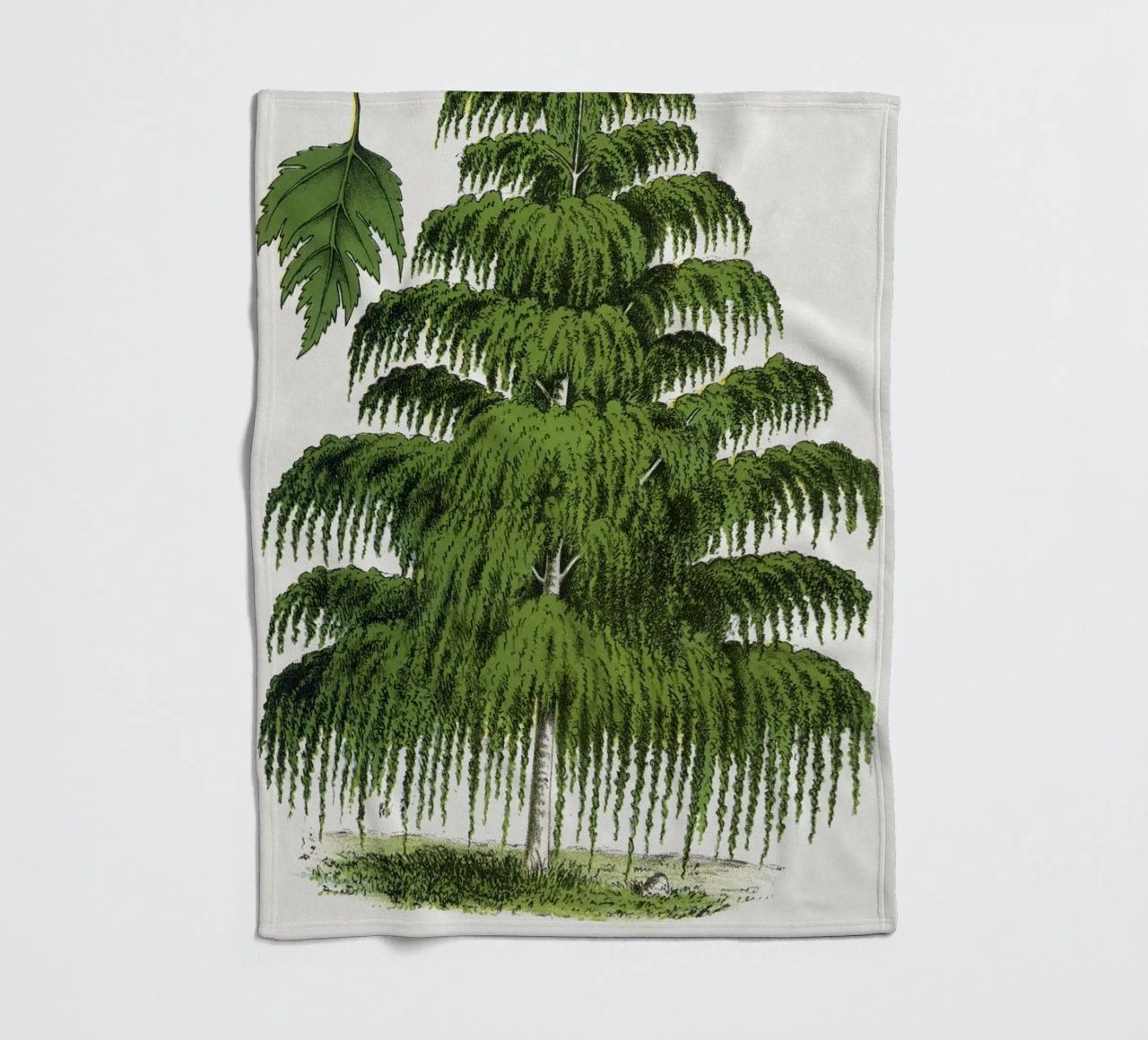 Weeping Birch tree coperta in pile da vintageshop