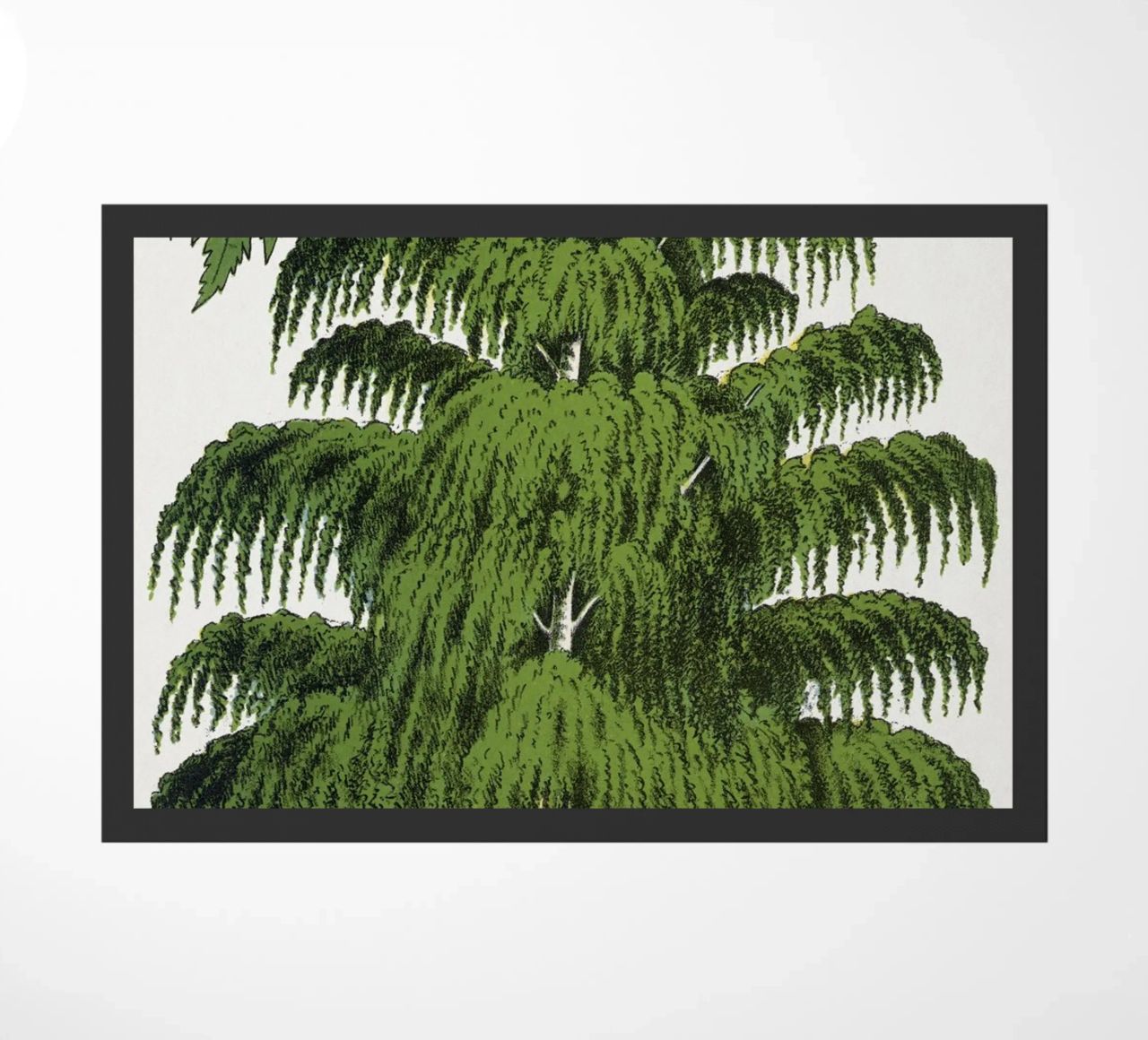Weeping Birch tree felpudo de vintageshop