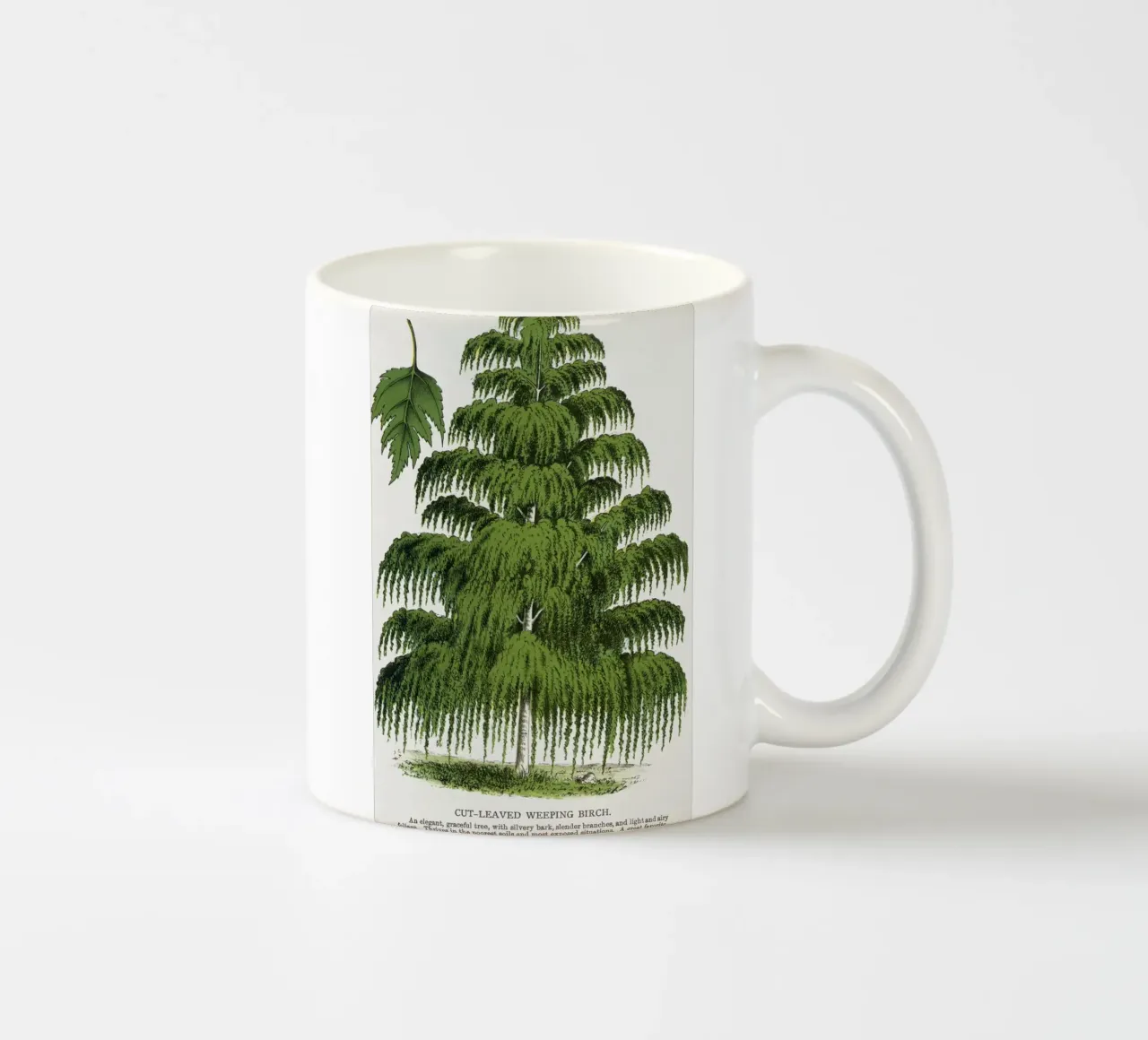 Weeping Birch tree keramische mok van vintageshop