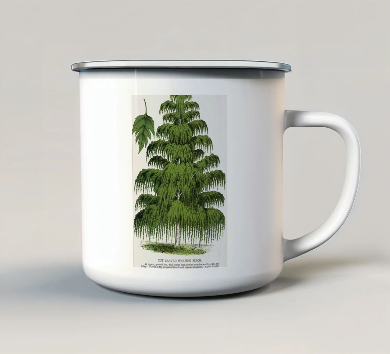 Weeping Birch tree tazza in smalto da vintageshop