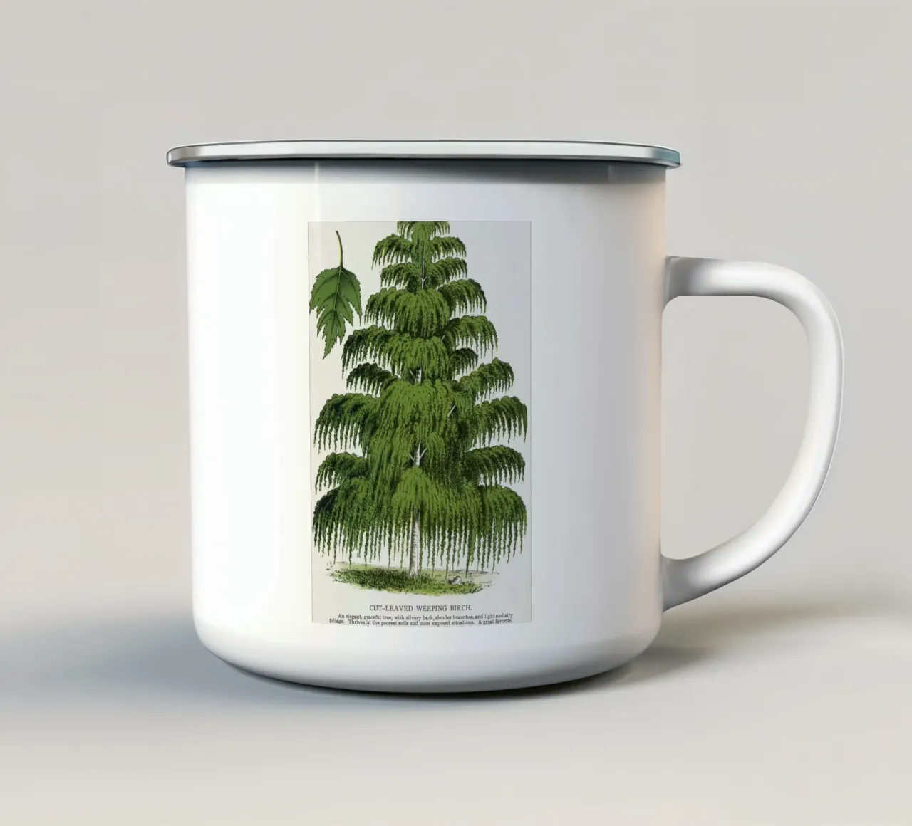 Weeping Birch tree Emaille Tasse von vintageshop