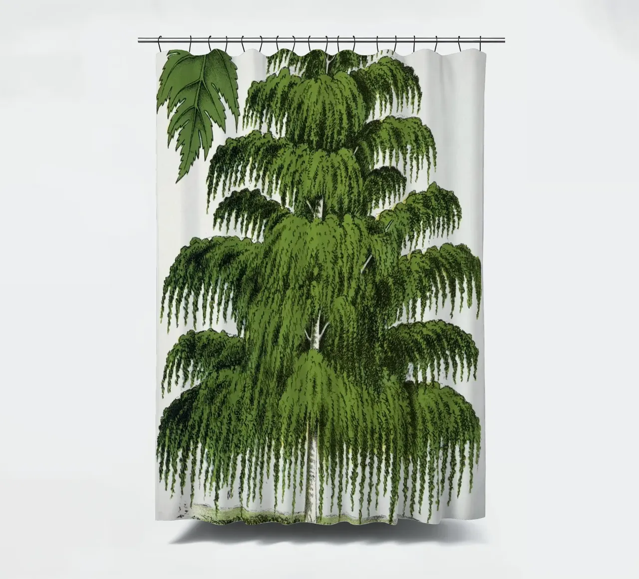 Weeping Birch tree tenda da doccia da vintageshop