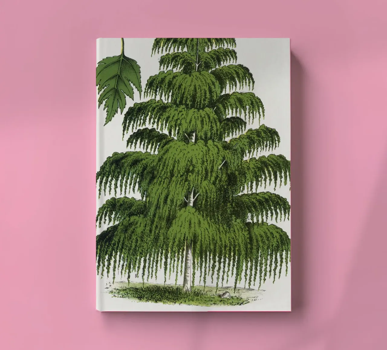 Weeping Birch tree notebook by vintageshop