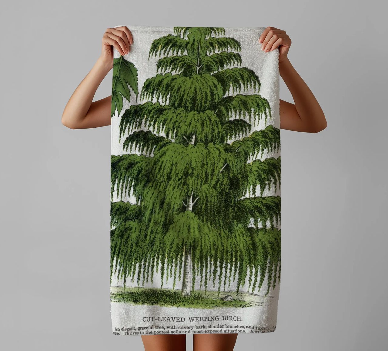 Weeping Birch tree asciugamano da bagno da vintageshop