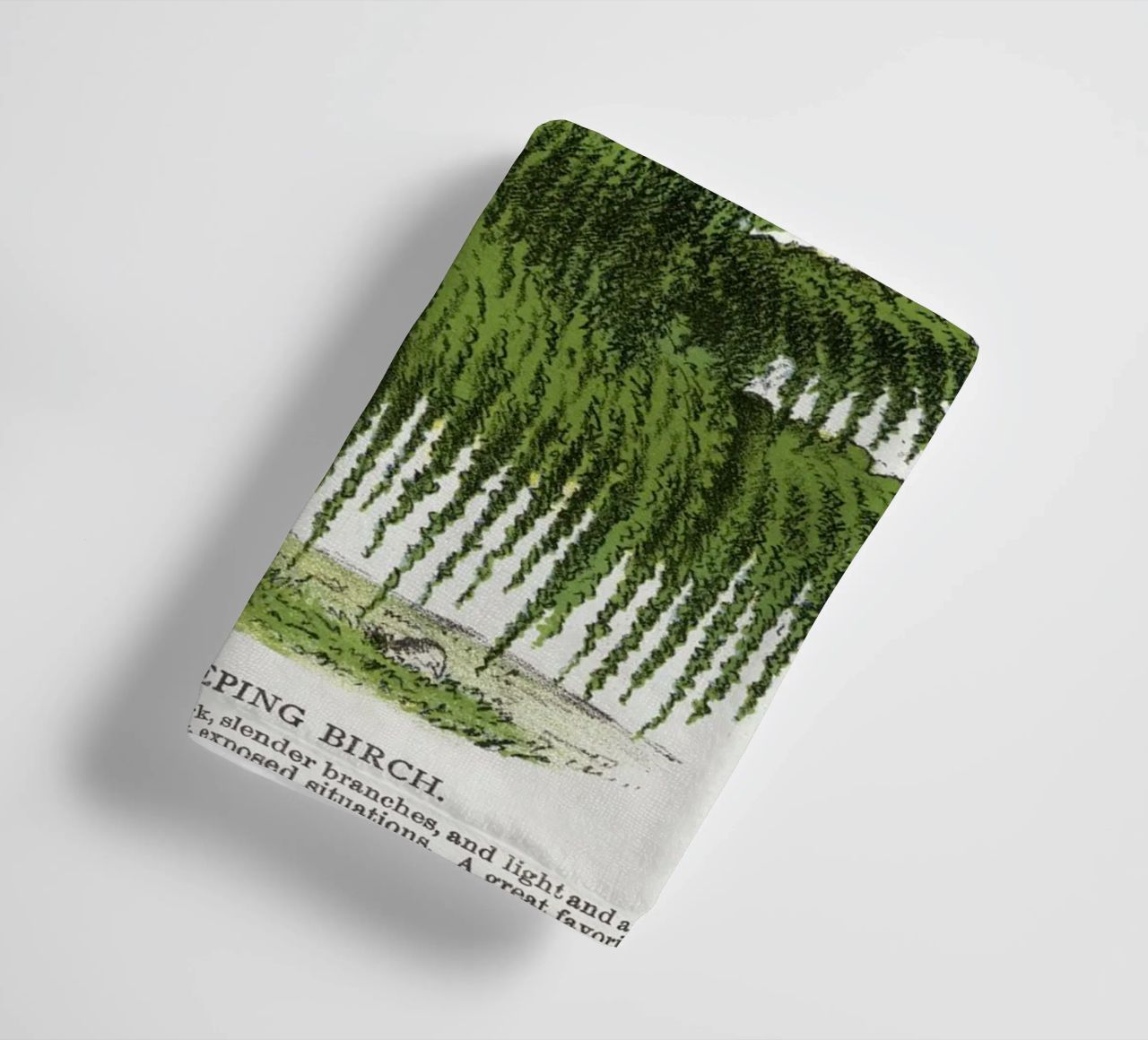 Weeping Birch tree asciugamano da bagno da vintageshop