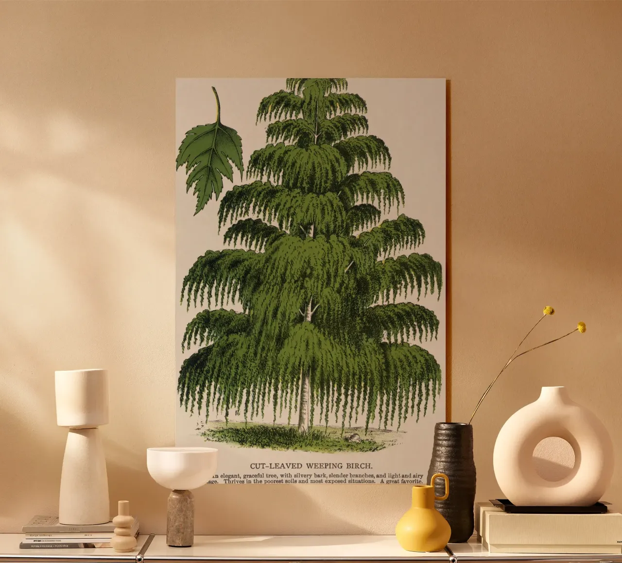 Weeping Birch tree plexiglass da vintageshop