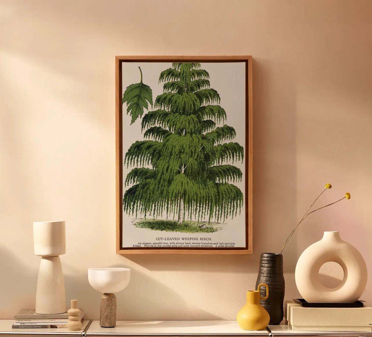 Weeping Birch tree Leinwand mit Schattenfugenrahmen von vintageshop