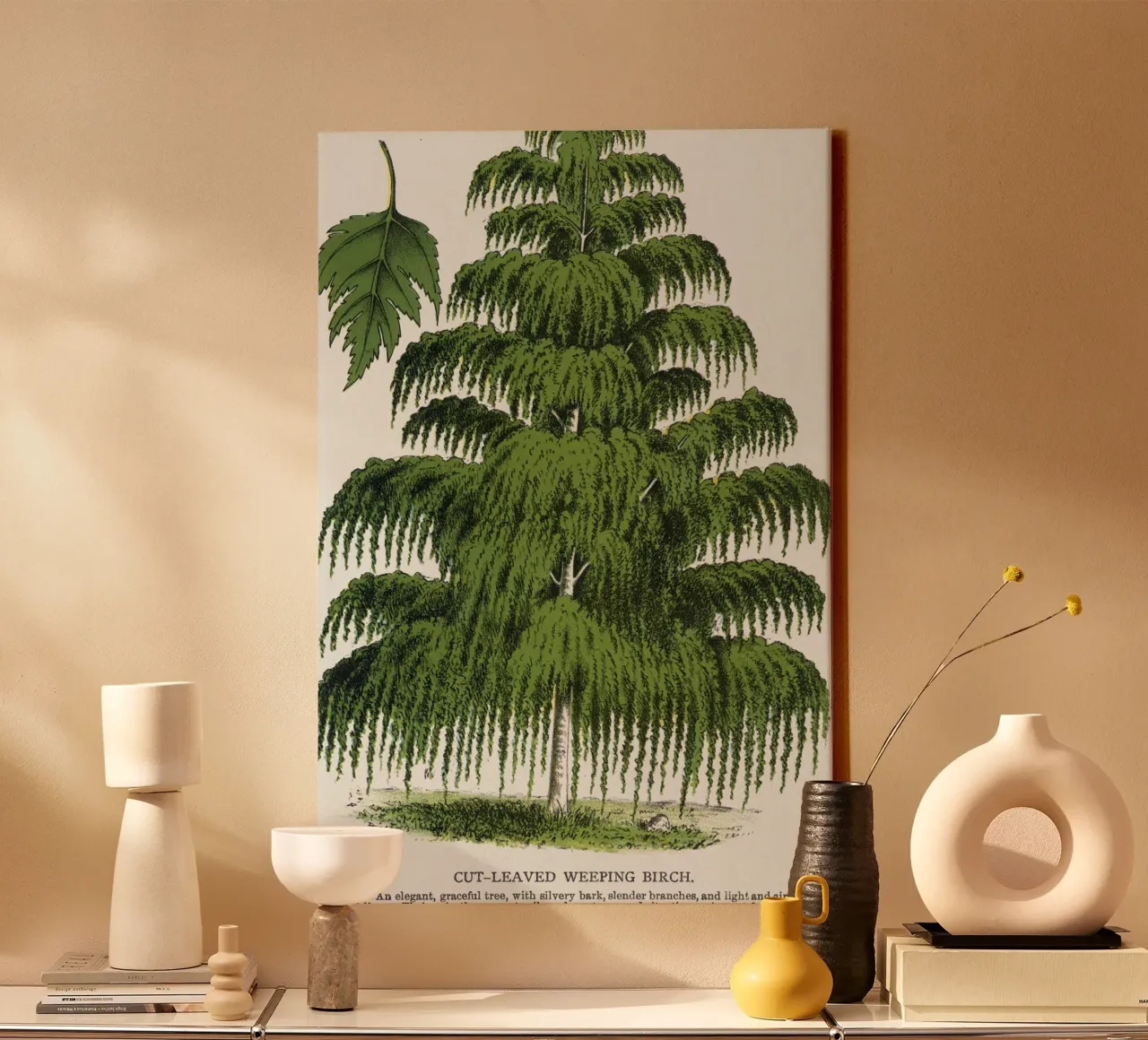Weeping Birch tree Leinwand mit Schattenfugenrahmen von vintageshop