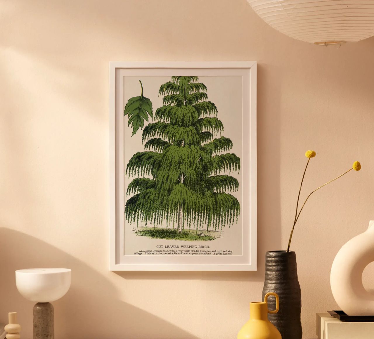 Weeping Birch tree carta hahnemühle da vintageshop