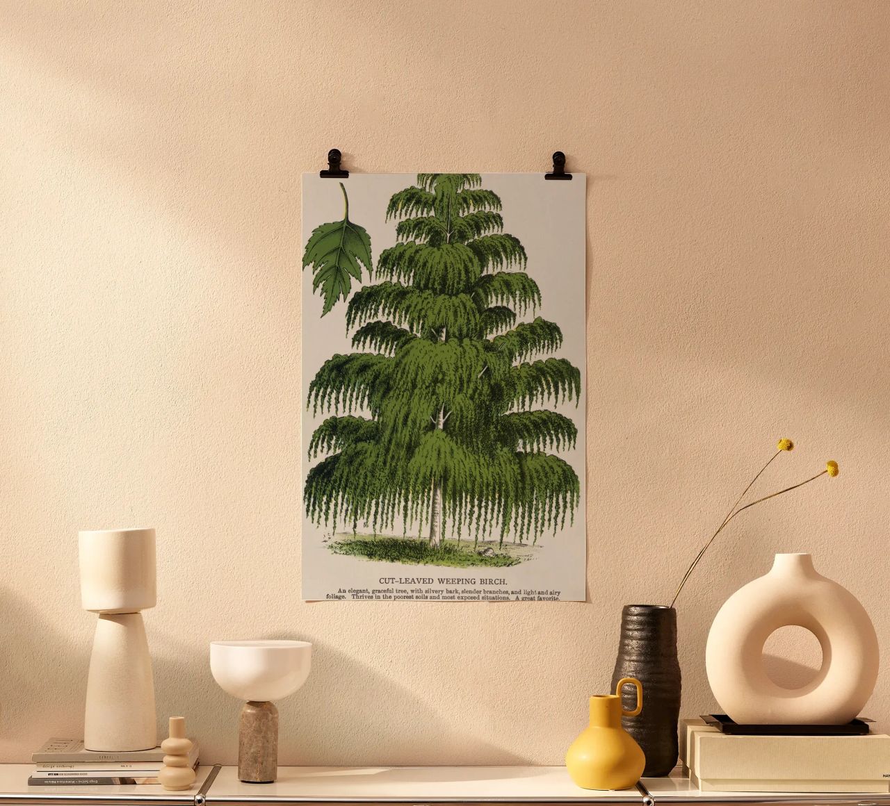 Weeping Birch tree carta hahnemühle da vintageshop