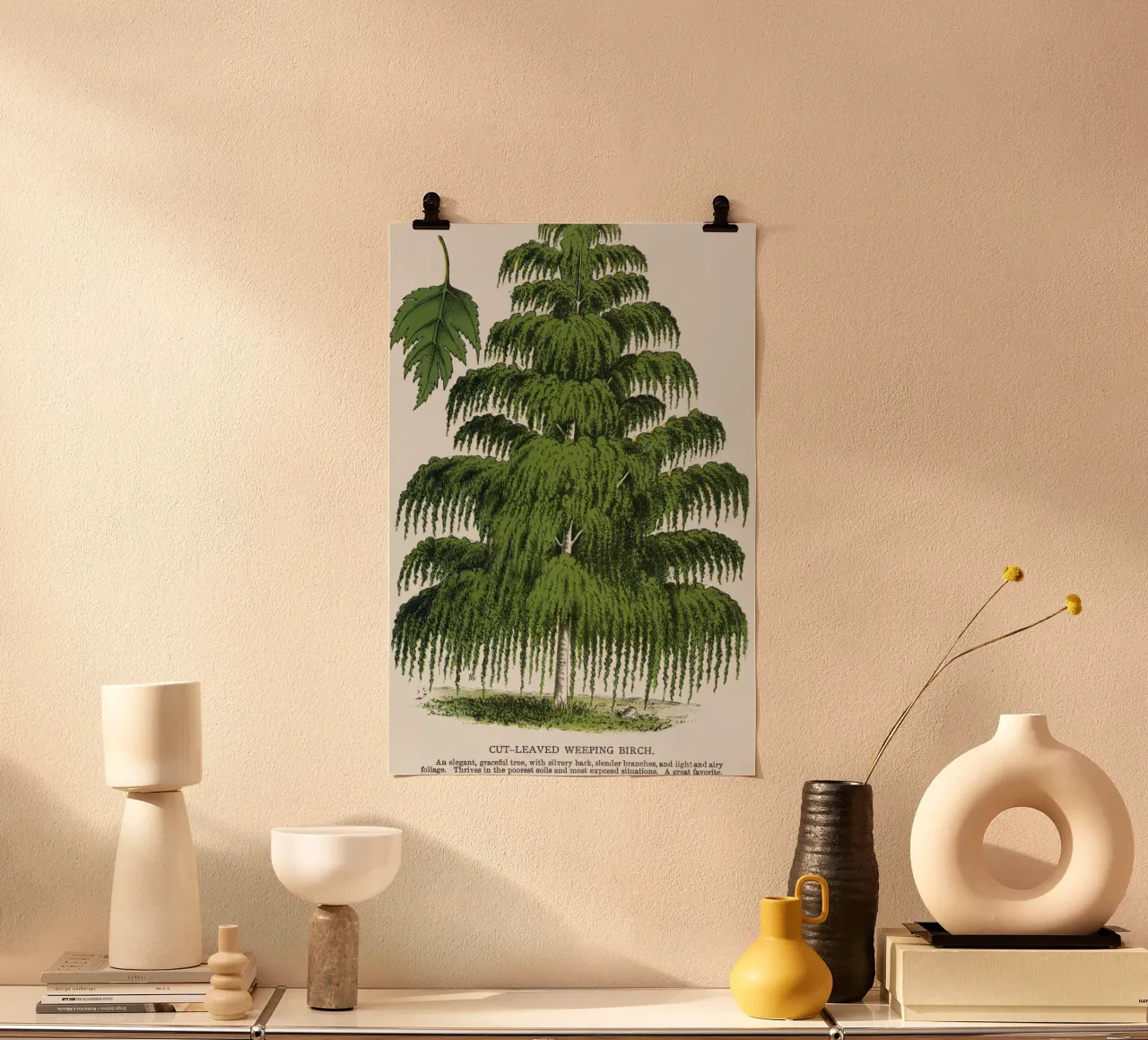Weeping Birch tree poster da vintageshop