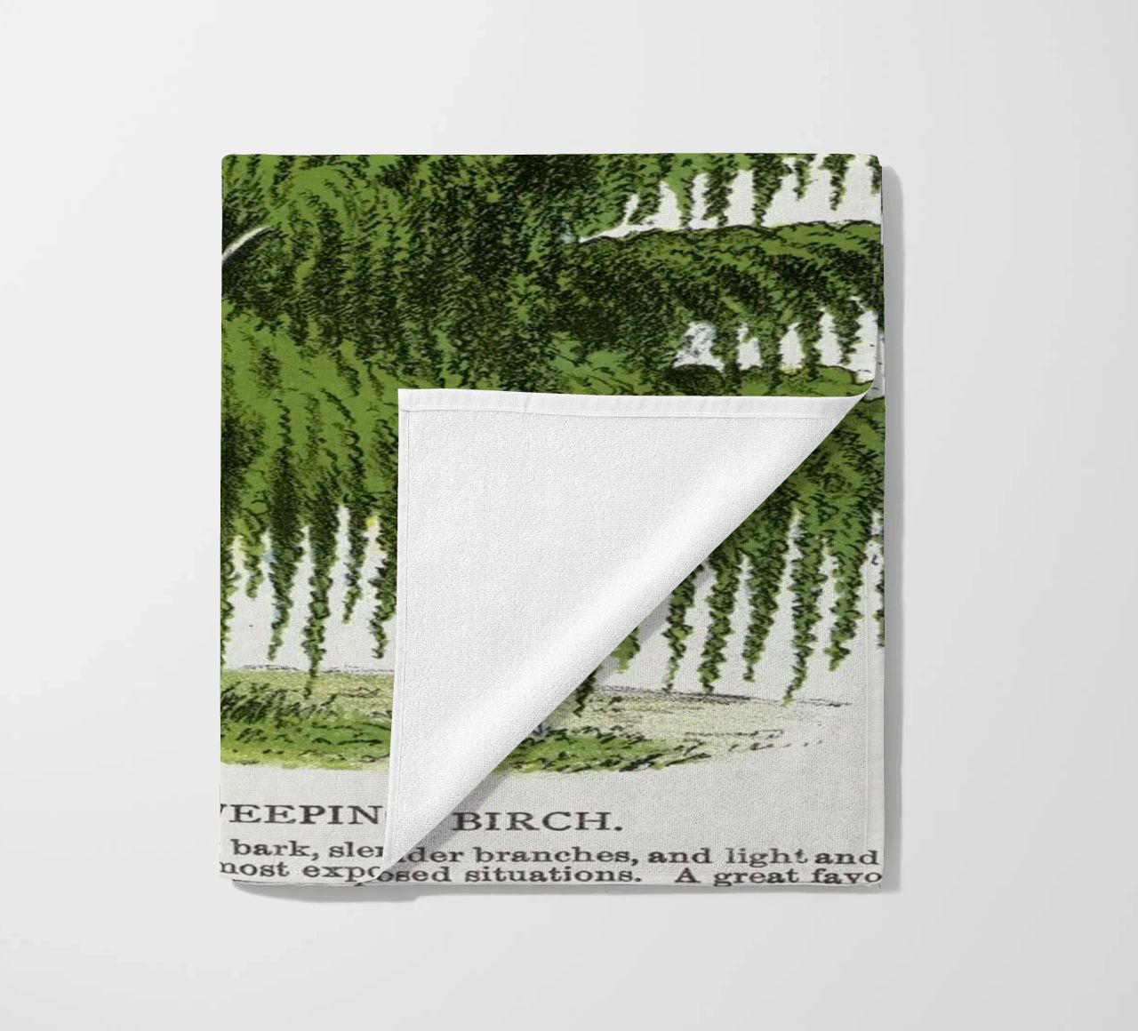 Weeping Birch tree telo mare da vintageshop