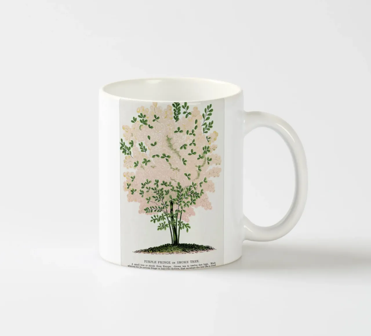 Purple Fringe tree tazza in ceramica da vintageshop