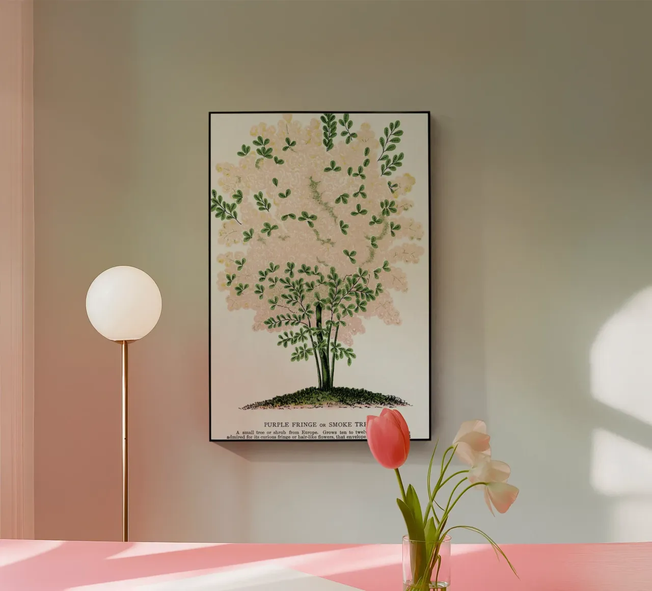 Purple Fringe tree plexiglass da vintageshop