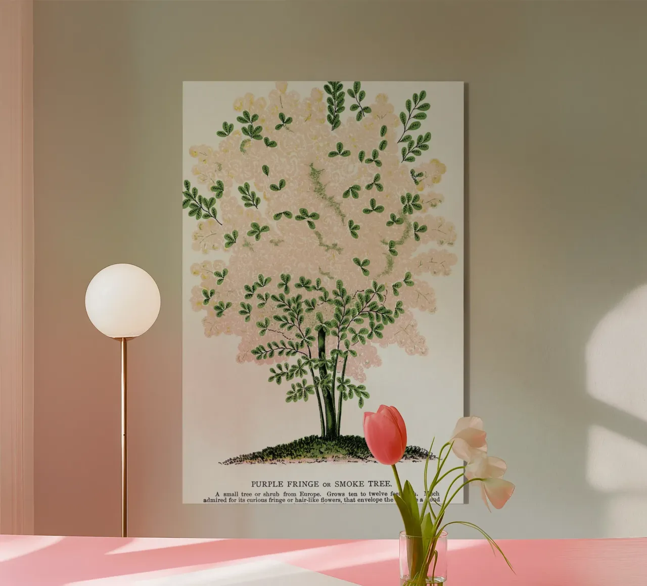 Purple Fringe tree plexiglass da vintageshop