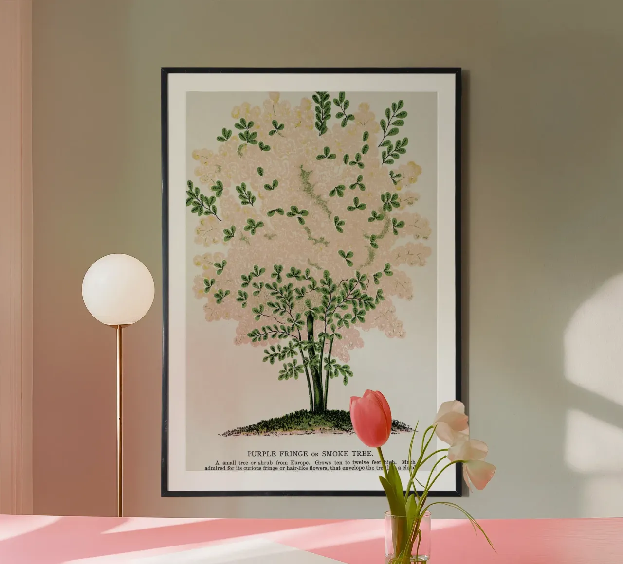 Purple Fringe tree carta hahnemühle da vintageshop