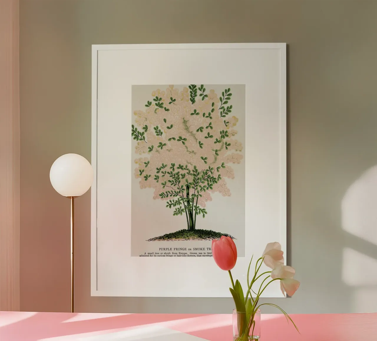 Purple Fringe tree carta hahnemühle da vintageshop