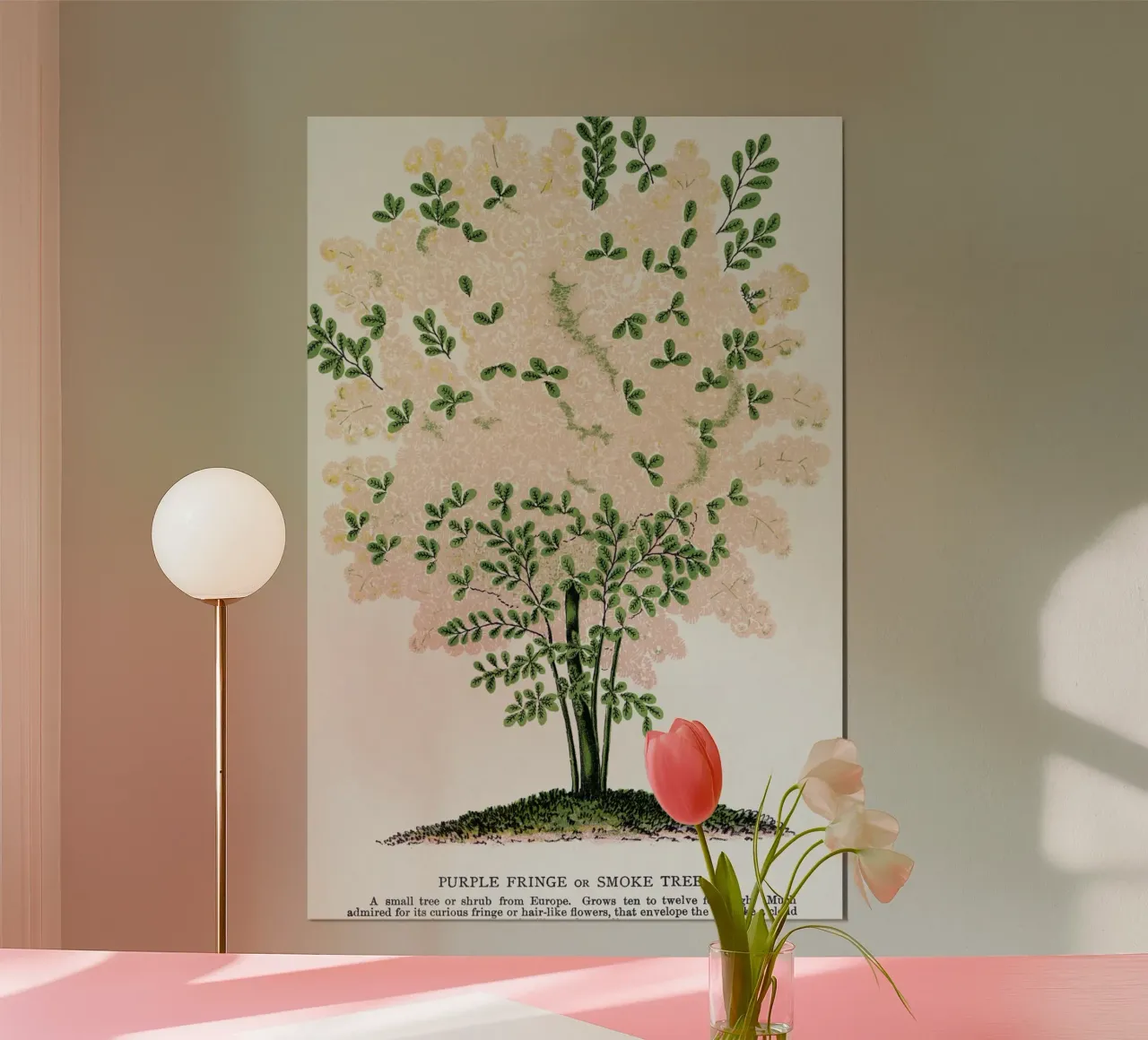 Purple Fringe tree carta hahnemühle da vintageshop