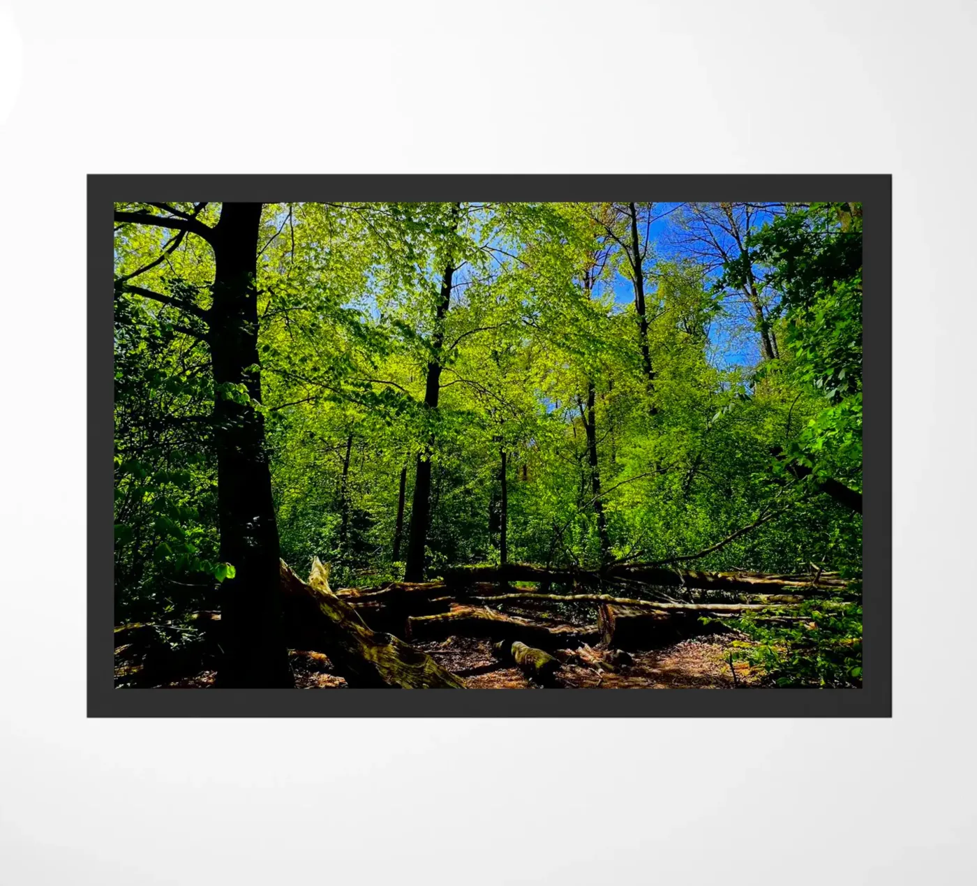 Amsterdam Forest deurmat van RealLifeMoments