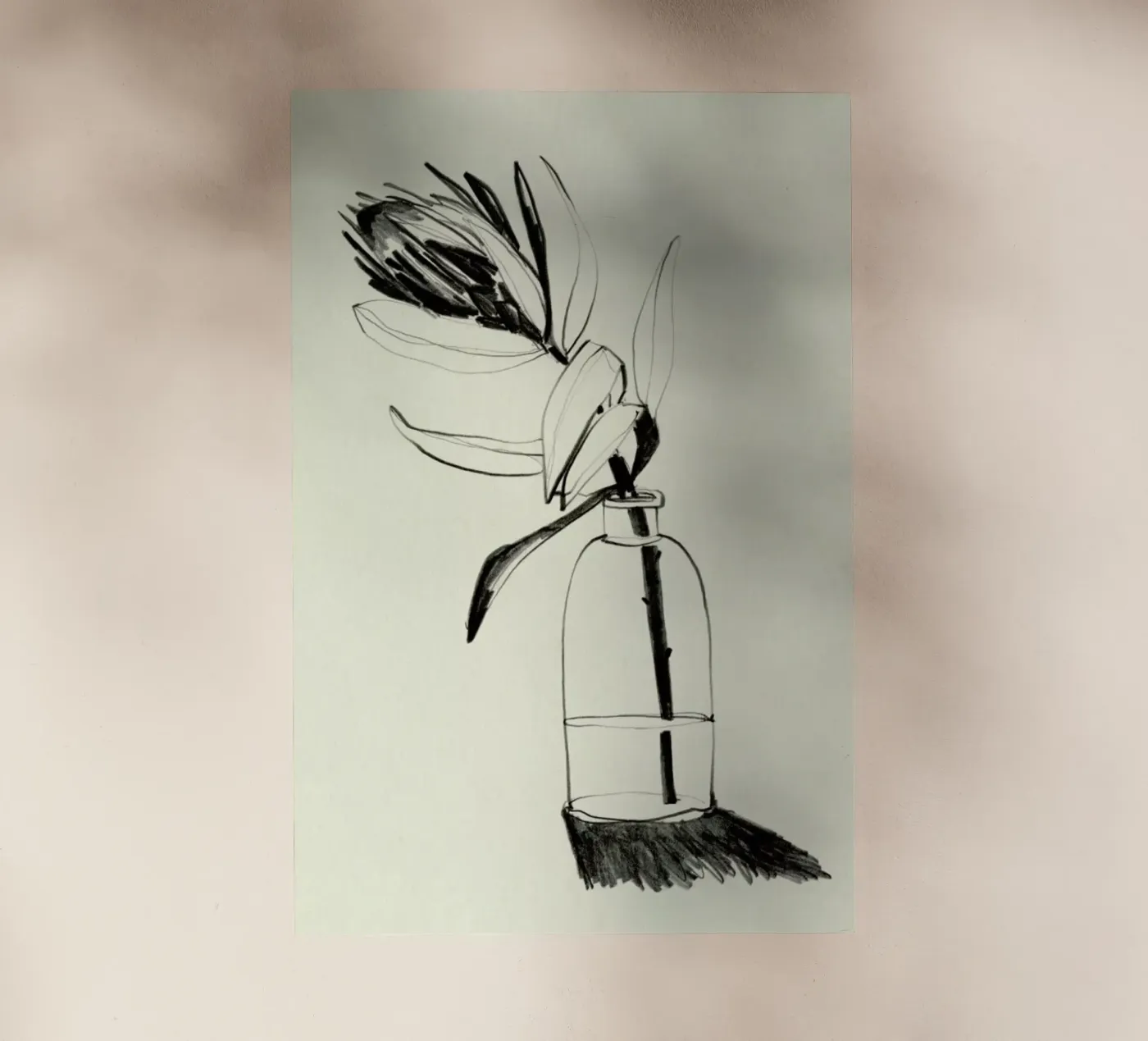 Protea pellicola backlit da Ekaterina Koroleva