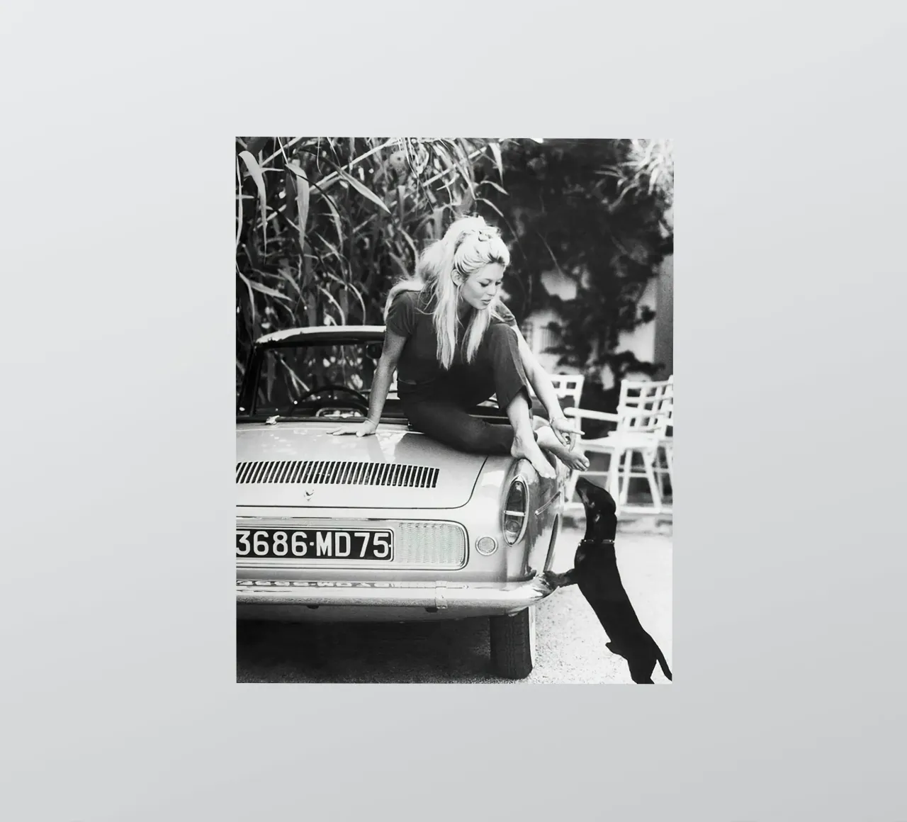 Brigitte Bardot with Dachshund 1962 sticker by hite Shop