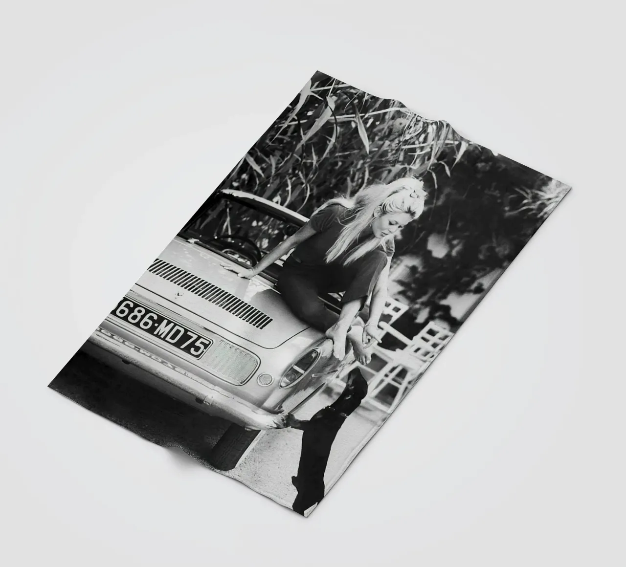 Brigitte Bardot with Dachshund 1962 fleece blanket by hite Shop
