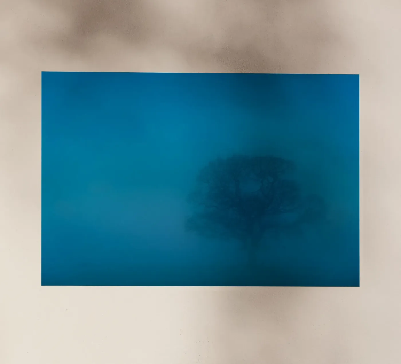 mistboom backlit folie van Bleu