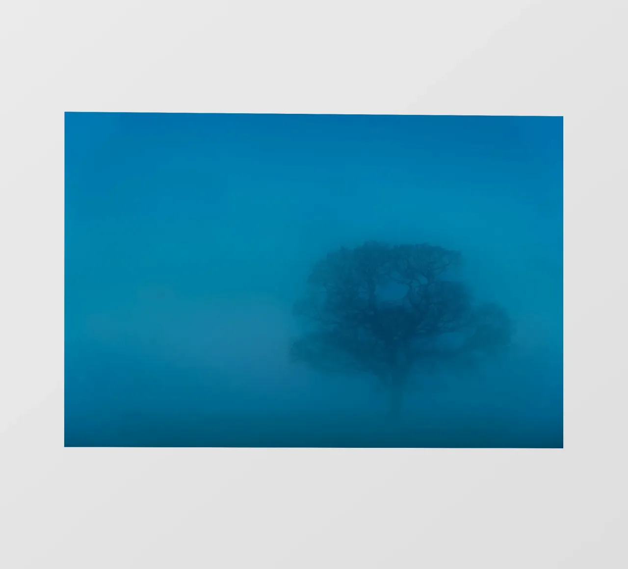 mistboom fotobehang van Bleu