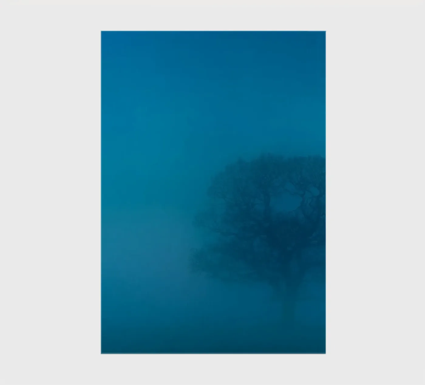 mist tree notebook by Bleu