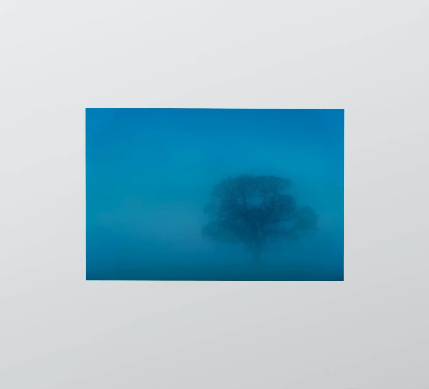 mist tree sticker by Bleu