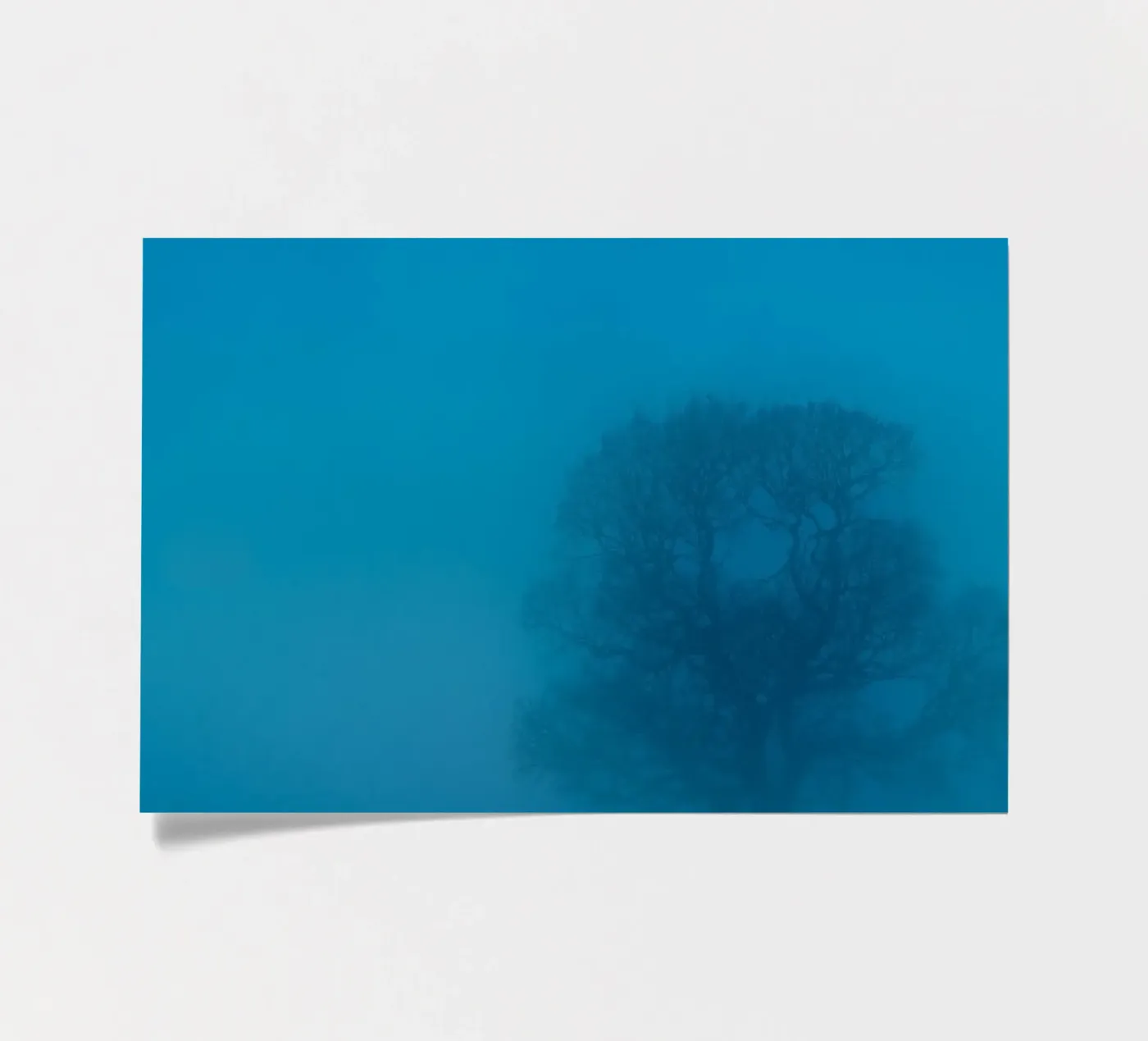 mist tree sticker sheet by Bleu