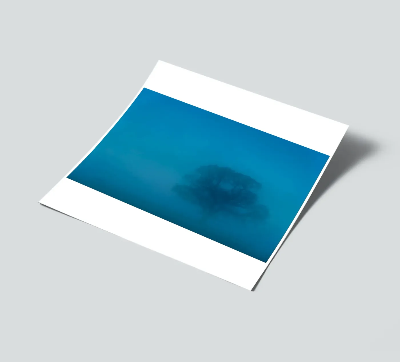 mist tree sticker sheet by Bleu