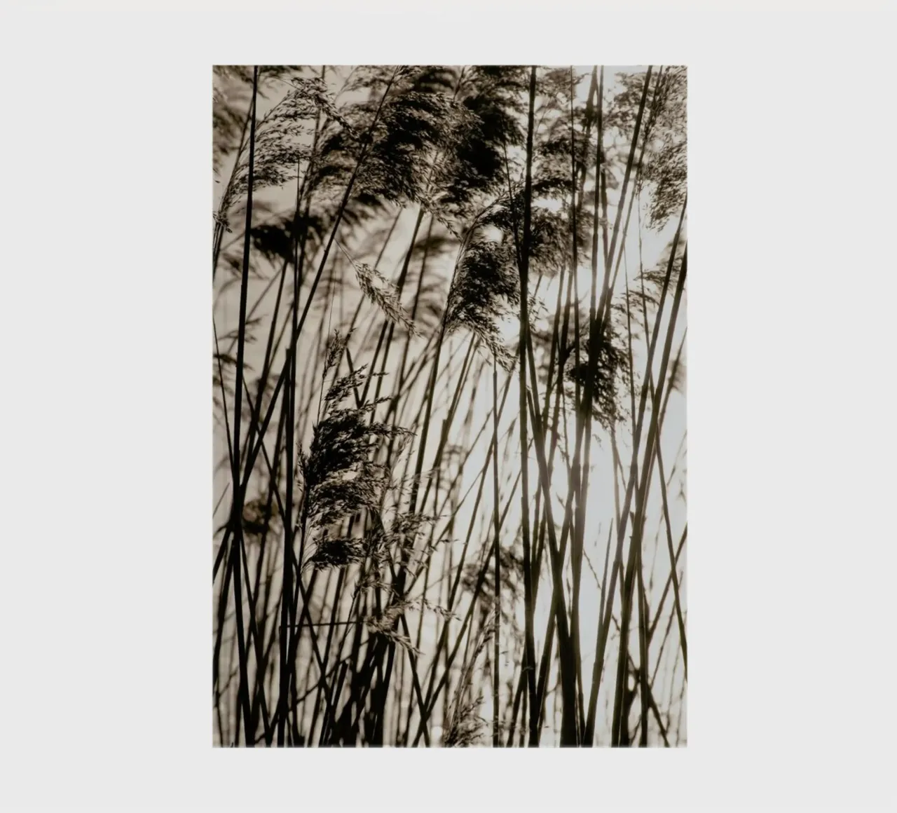 Grasses In The Golden Sunset notebook by Studio Nahili