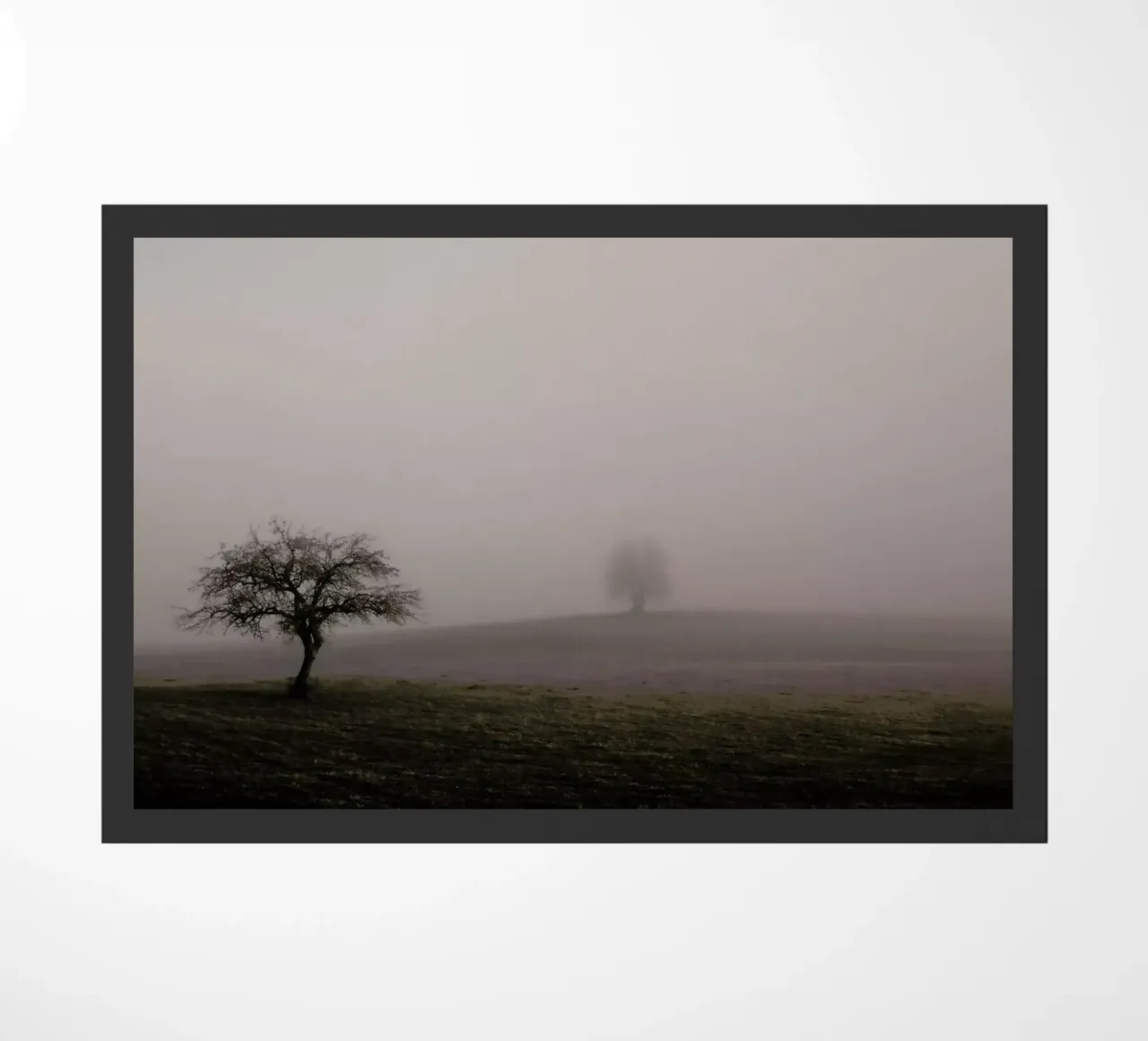 Moody Trees Brown - Bäume im Morgennebel zerbino da Monika Strigel