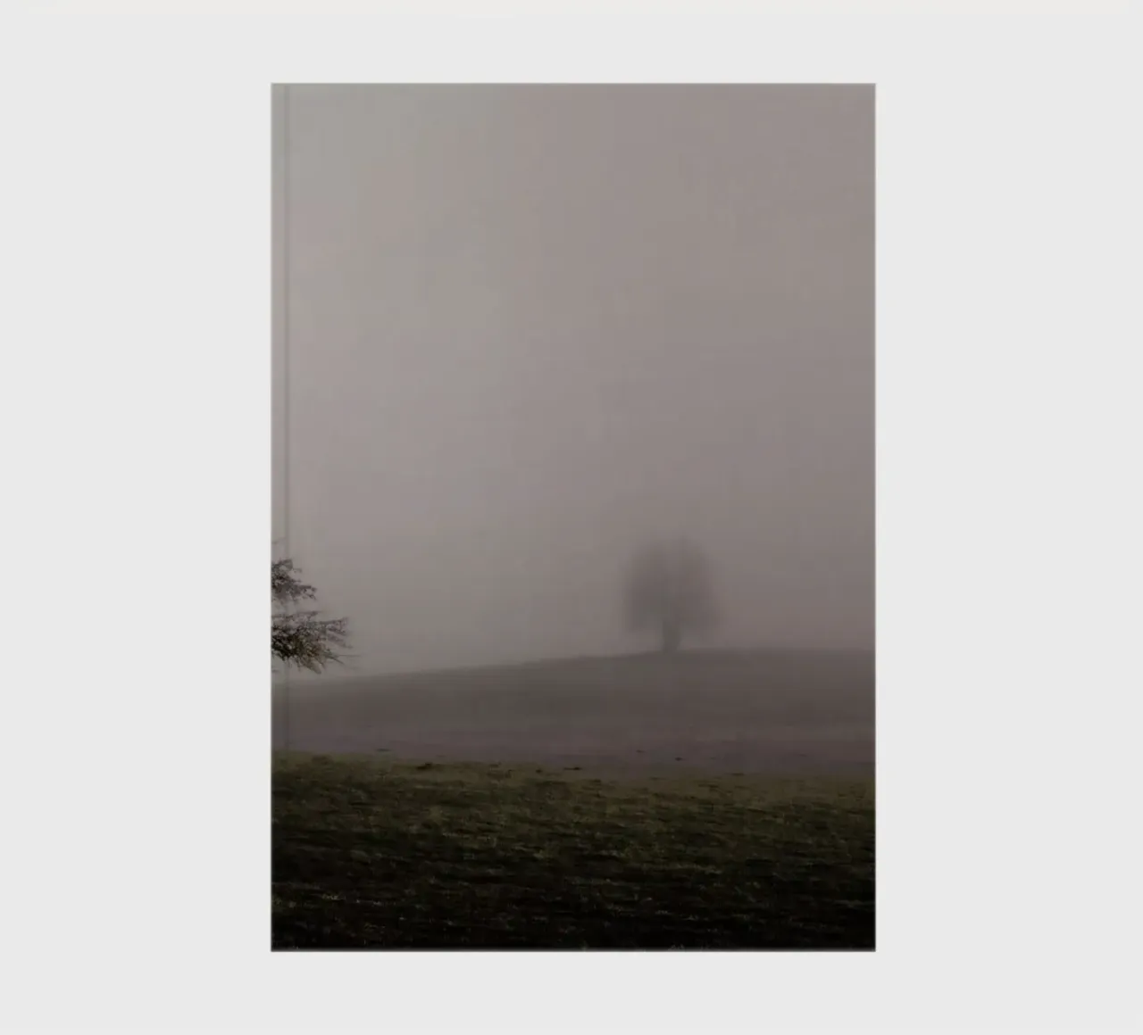 Moody Trees Brown - Bäume im Morgennebel notebook by Monika Strigel
