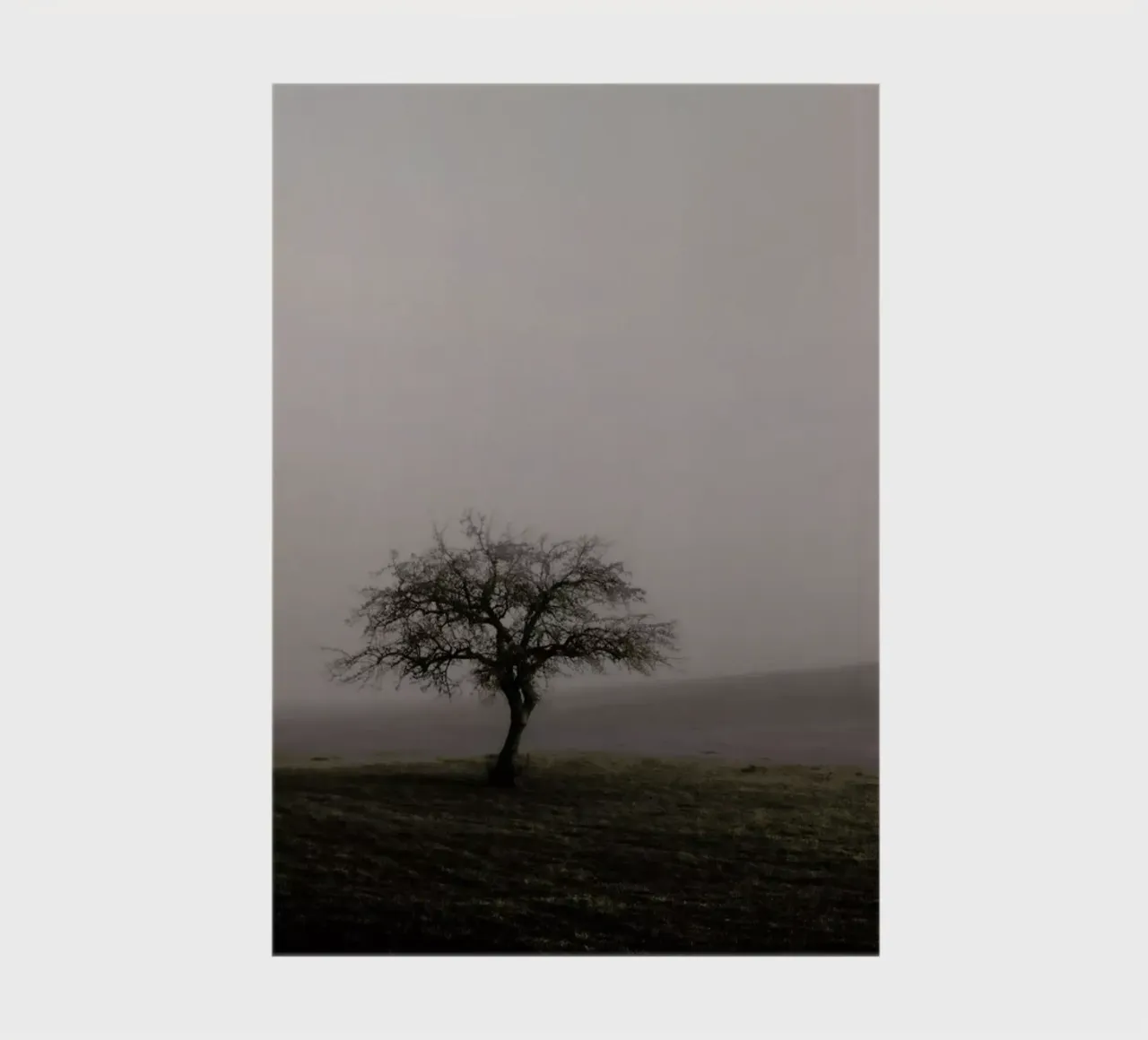 Moody Trees Brown - Bäume im Morgennebel notebook by Monika Strigel