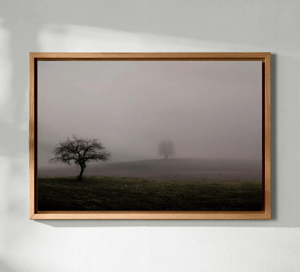 Moody Trees Brown - Bäume im Morgennebel lienzo de Monika Strigel