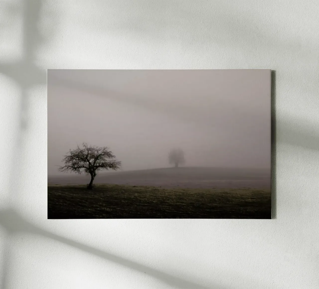 Moody Trees Brown - Bäume im Morgennebel lienzo de Monika Strigel