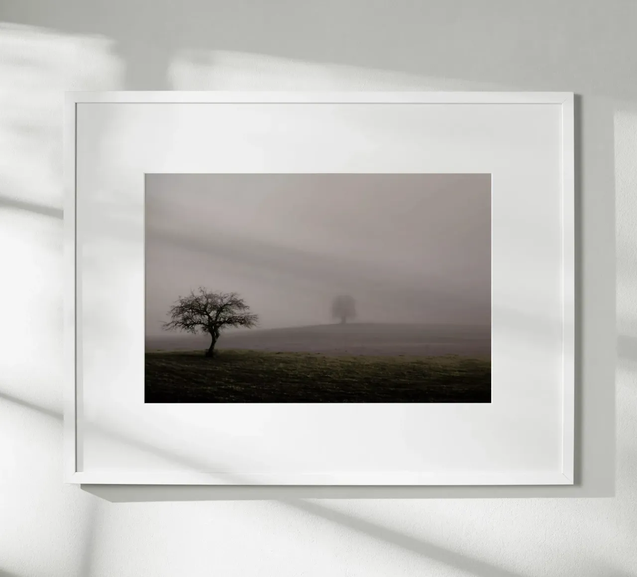 Moody Trees Brown - Bäume im Morgennebel carta hahnemühle da Monika Strigel