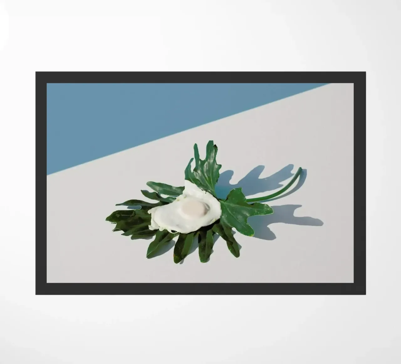 Egg 1 zerbino da George Griefy