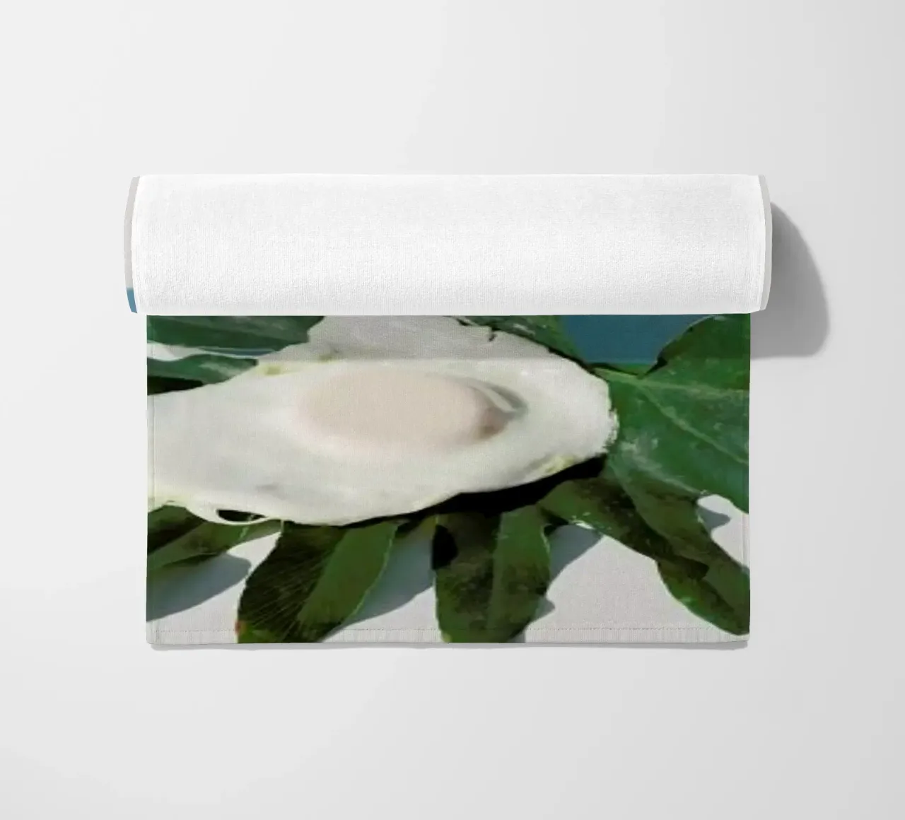 Egg 1 telo mare da George Griefy