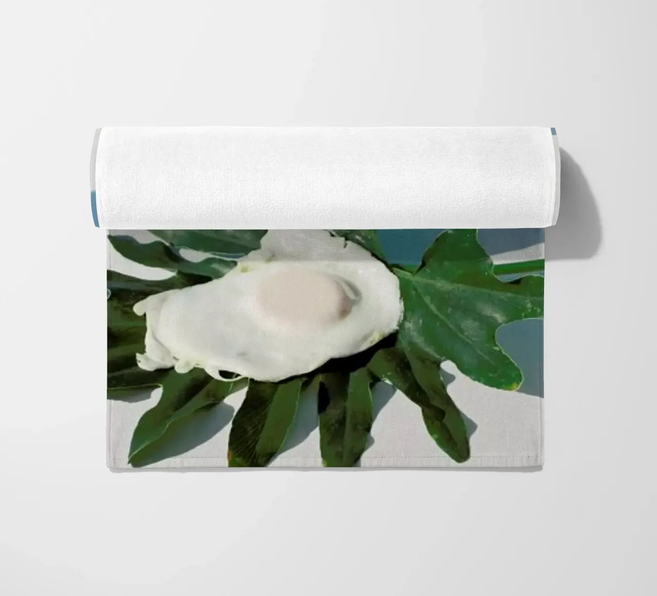 Egg 1 telo mare da George Griefy