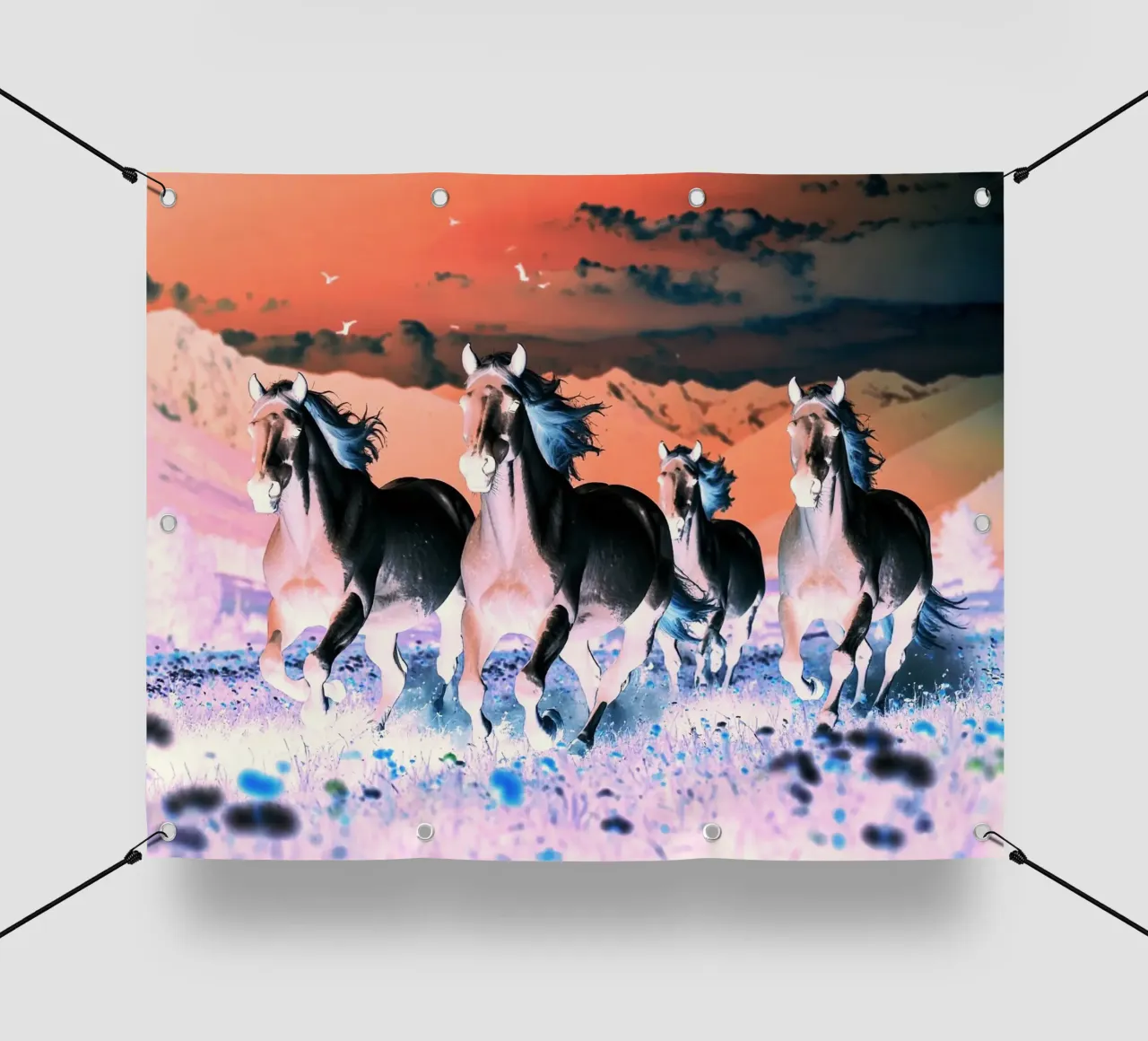 Quatre chevaux qui galopent. Nocturne rose. telo in pvc da Thierry vobmann photography