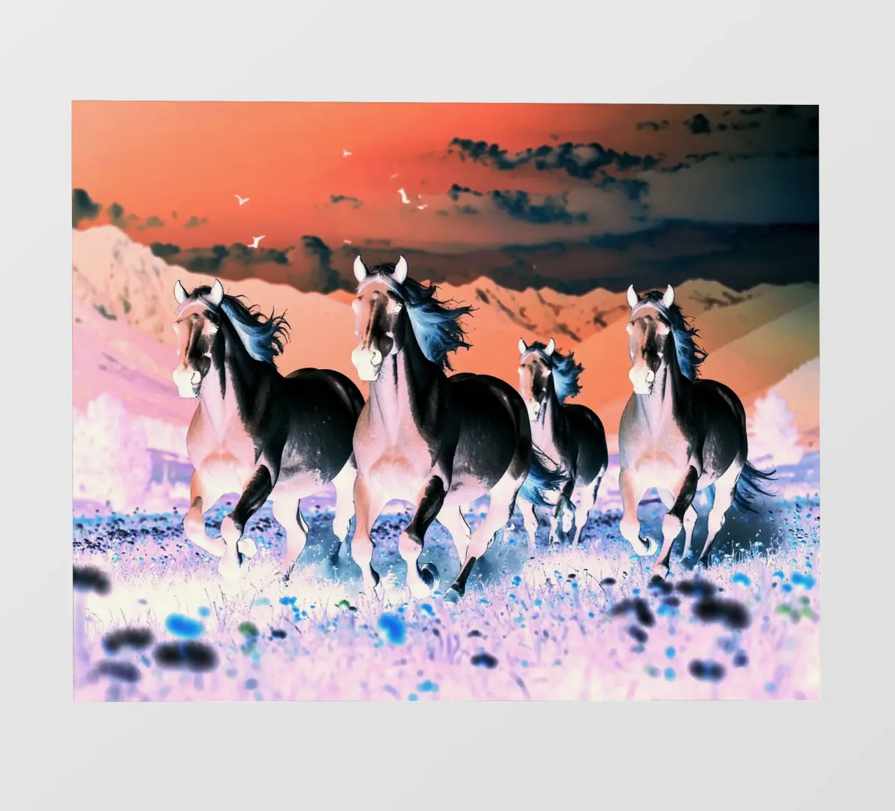 Quatre chevaux qui galopent. Nocturne rose. telo in pvc da Thierry vobmann photography