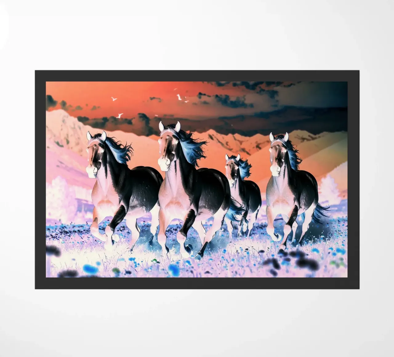 Quatre chevaux qui galopent. Nocturne rose. zerbino da Thierry vobmann photography